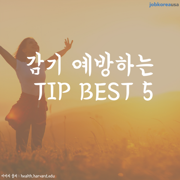  ⿹ϴ TIP BEST 5
