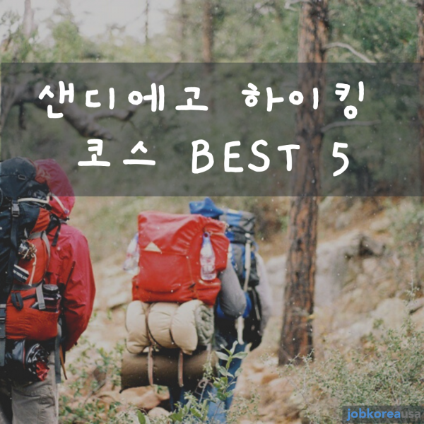 𿡰 ŷ ڽ BEST 5