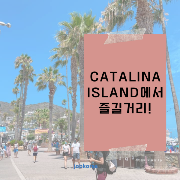 CATALINA ISLAND  Ÿ!