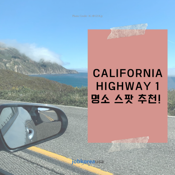 CALIFORNIA HIGHWAY 1 명소 스팟 추천!