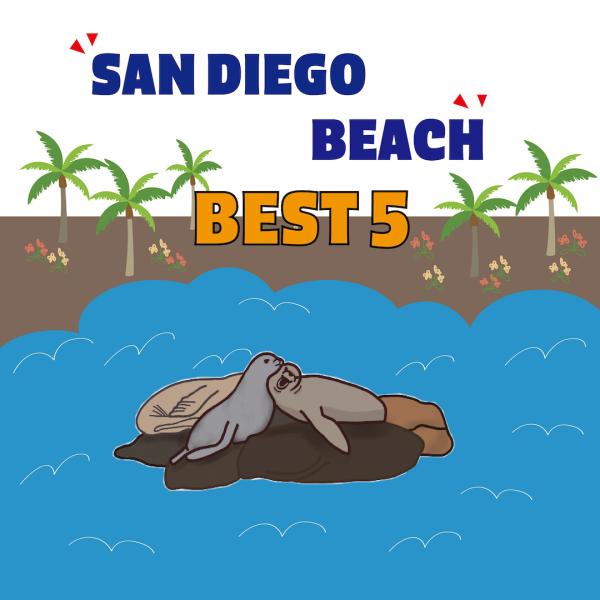 San Diego Beach Best 5